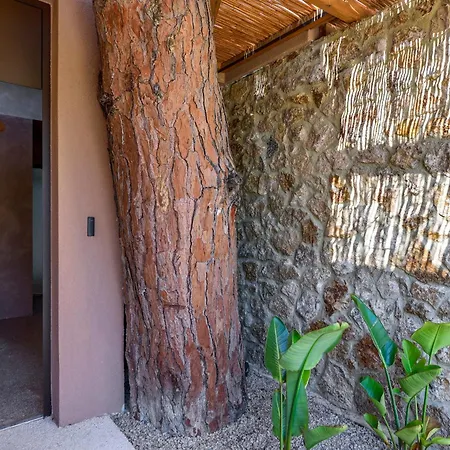 Апартаменты Karidi Gaia Retreat Вурвуру